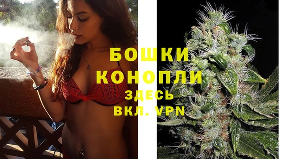 a pvp Богданович